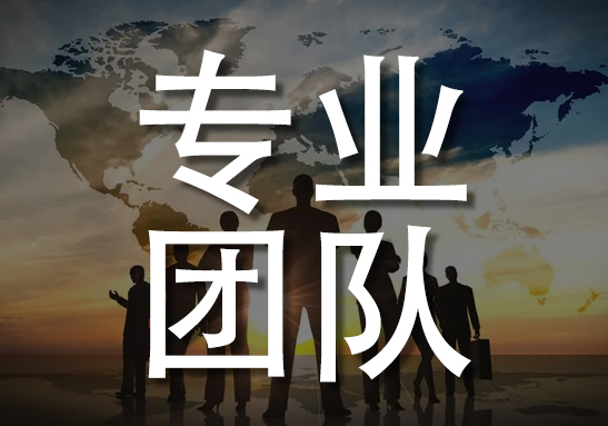 专业的服务团队